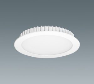 Ceiling Light LBS2348