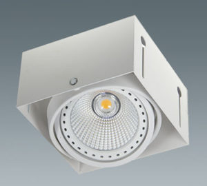 ceiling light pro -XM2901SA-H